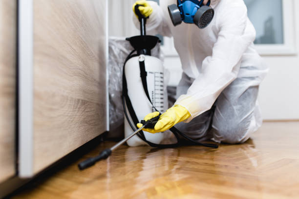 Pest Prevention Services in Talpa, NM