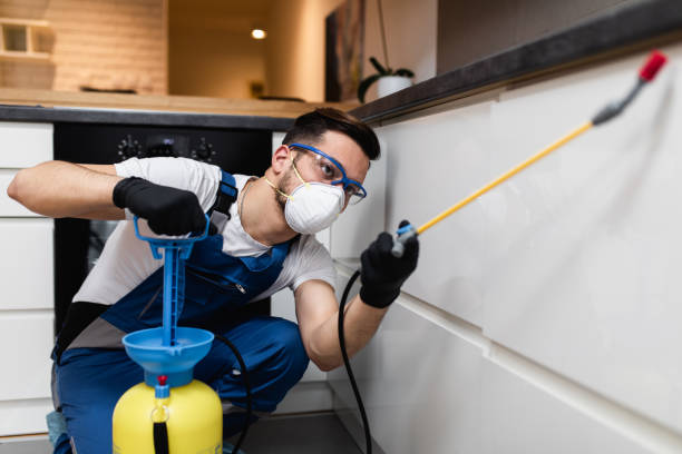 Trusted Talpa, NM Pest Control Experts